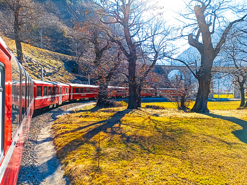 How to plan your first trip abroad 2 A red Bernina Express train traveling through a green meadow on a sunny day.