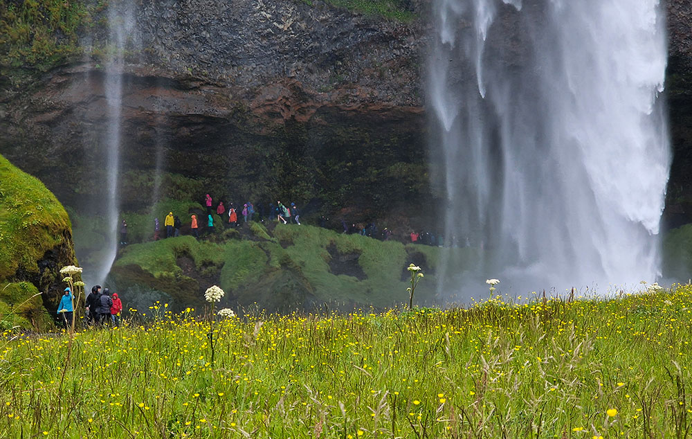 Waterfall in Iceland in summer
