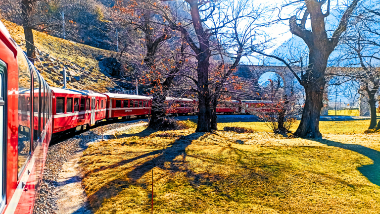 A red Bernina Express train travelling across a greenish-yellow meadow in February, with trees beginning to lose their red-tinted leaves.