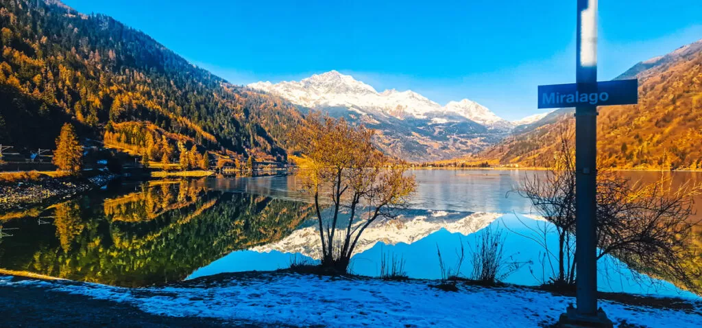 Bernina Express: a simple day trip into the Swiss Alps 4 Miralago Lake seen from the Bernina Express, with mountains reflected in the water, some covered with pines and others with snowy peaks.