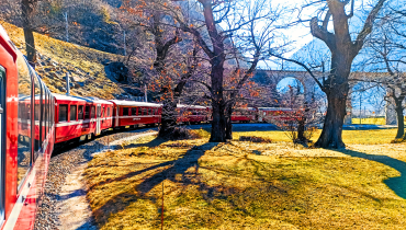 A red Bernina Express train travelling across a greenish-yellow meadow in February, with trees beginning to lose their red-tinted leaves.